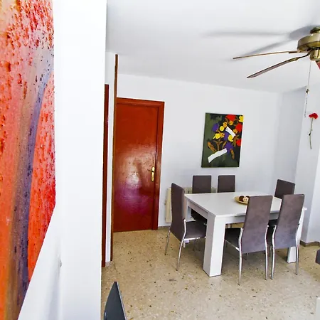 Eucalyptus * سالو