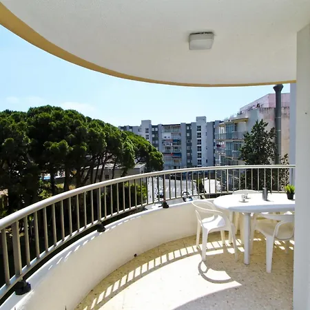 Eucalyptus * سالو